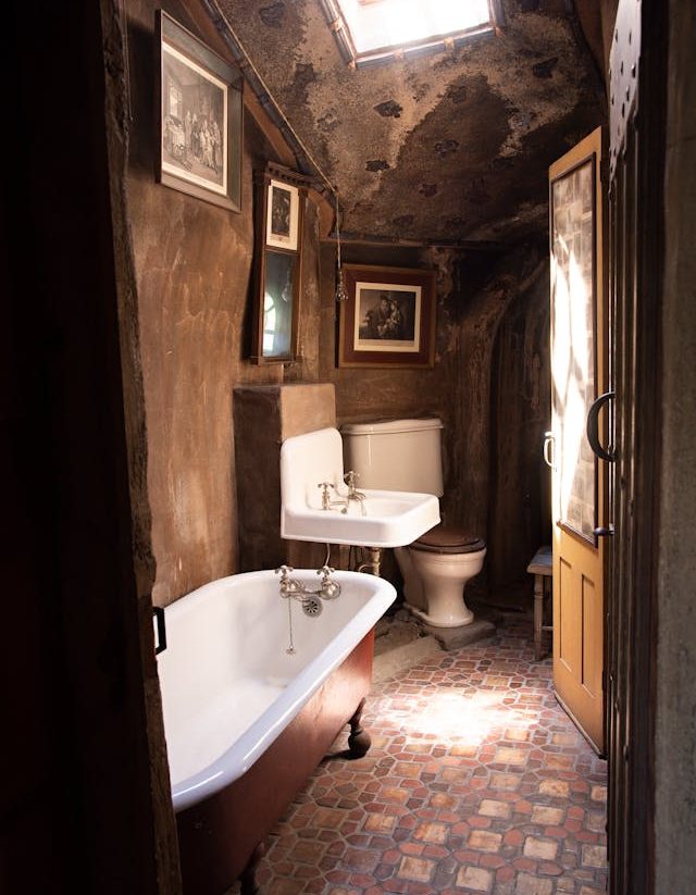 pexels-fariphotography-1222554